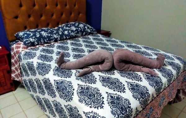 Casa Soliman & Loft Soliman - Hoteles en Centro de Cancún