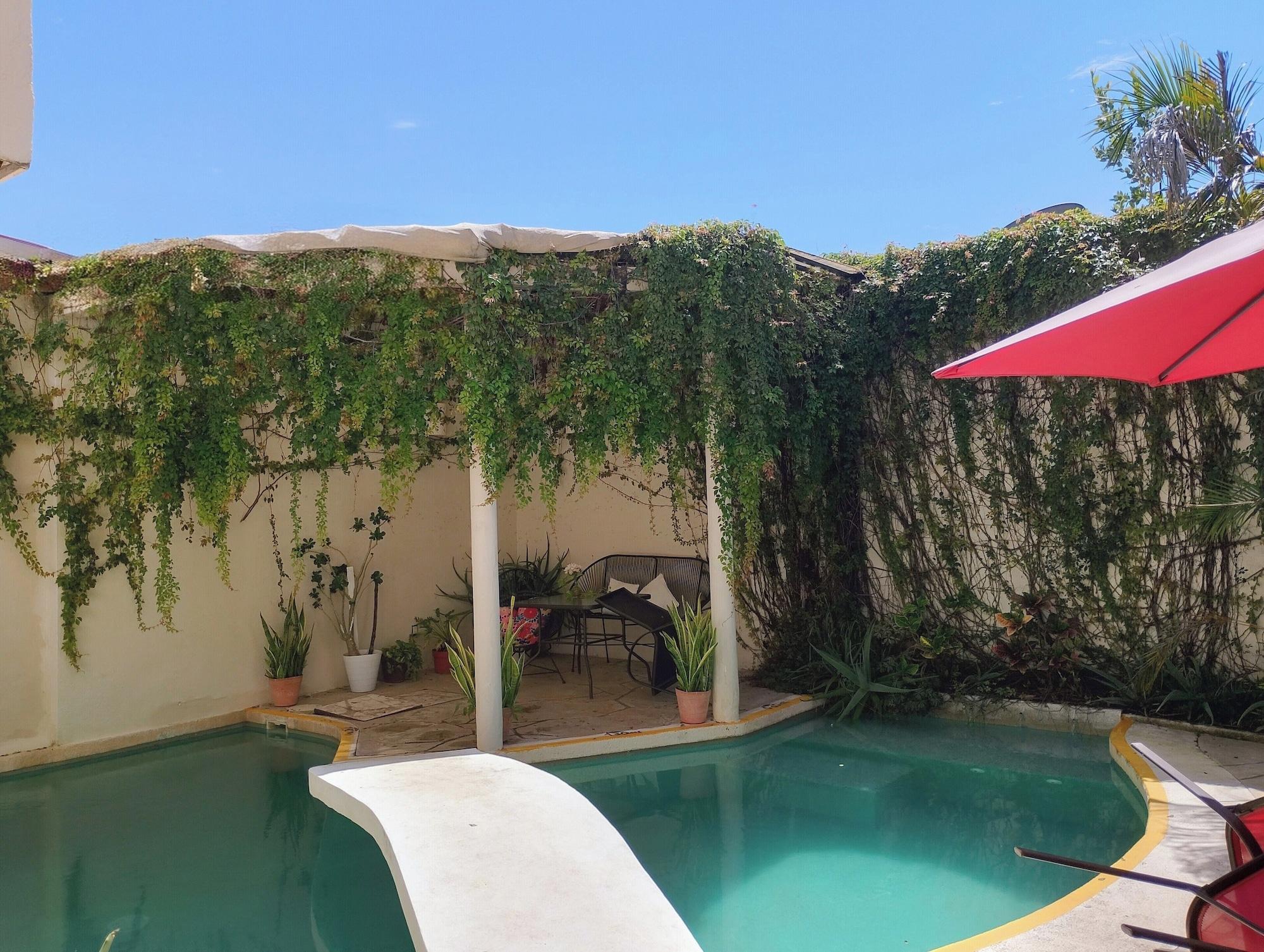 Varios Pecari Bed and Breakfast