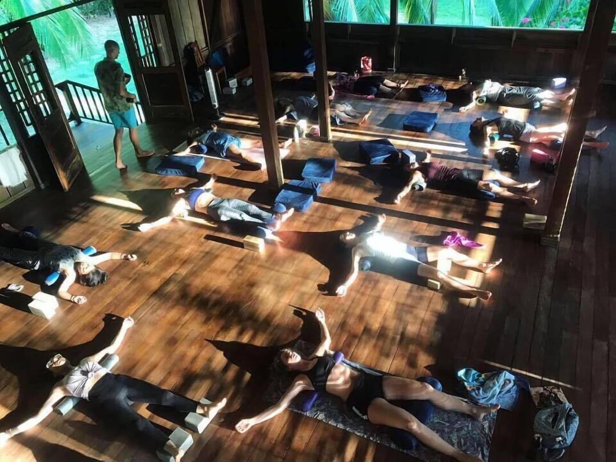 Centro de Negocios Ocean Forest Ecolodge Retreat