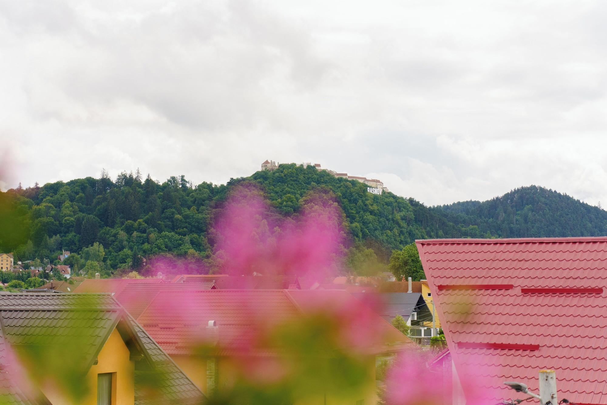 Vista Exterior Complex Turistic Max International