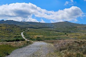 Actividad - Excursión a la montaña Vitosha y la cascada Boyana