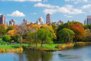 Nova York