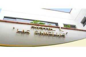 Alojamiento - Hostal Las Camelias