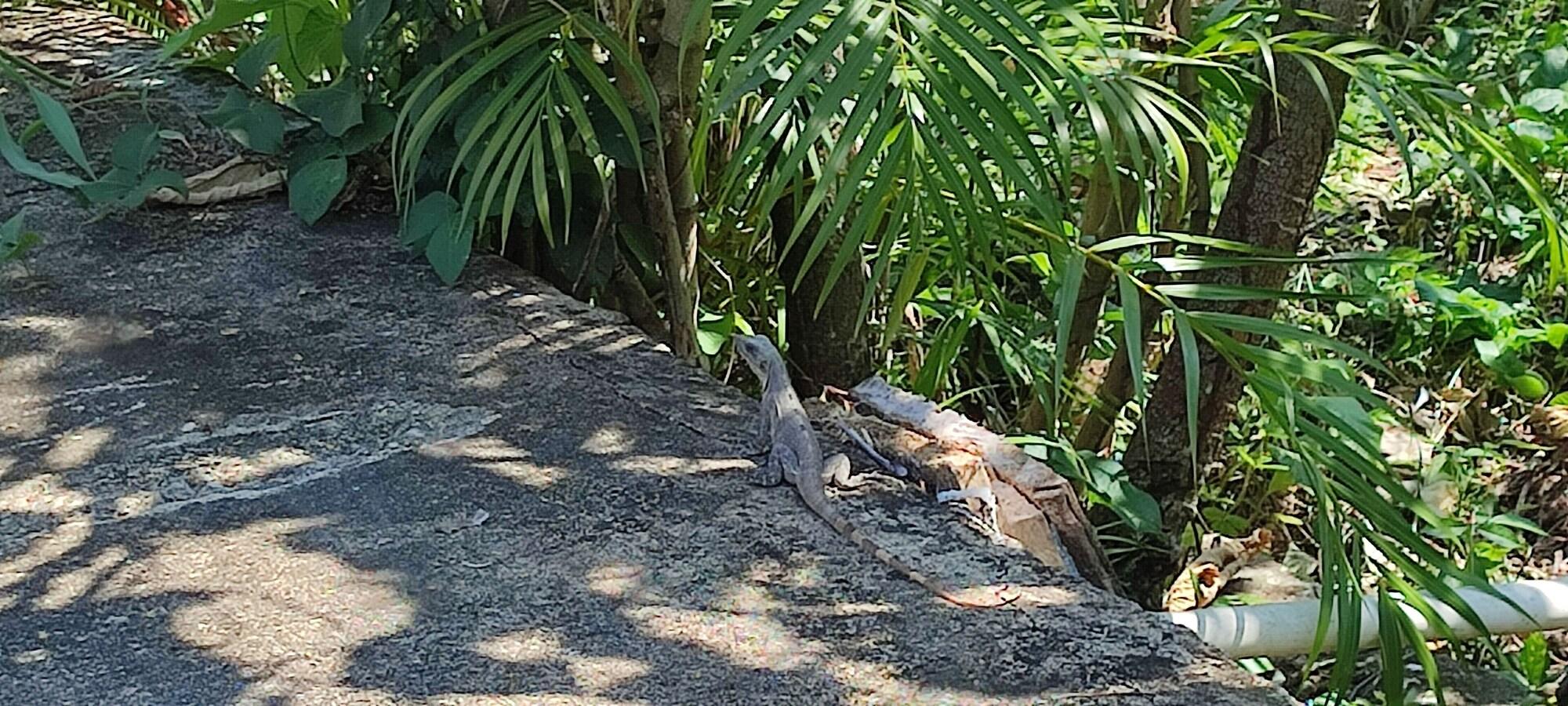 Vista Exterior Villas del Carmen