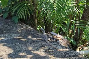 Alojamiento - Villas del Carmen