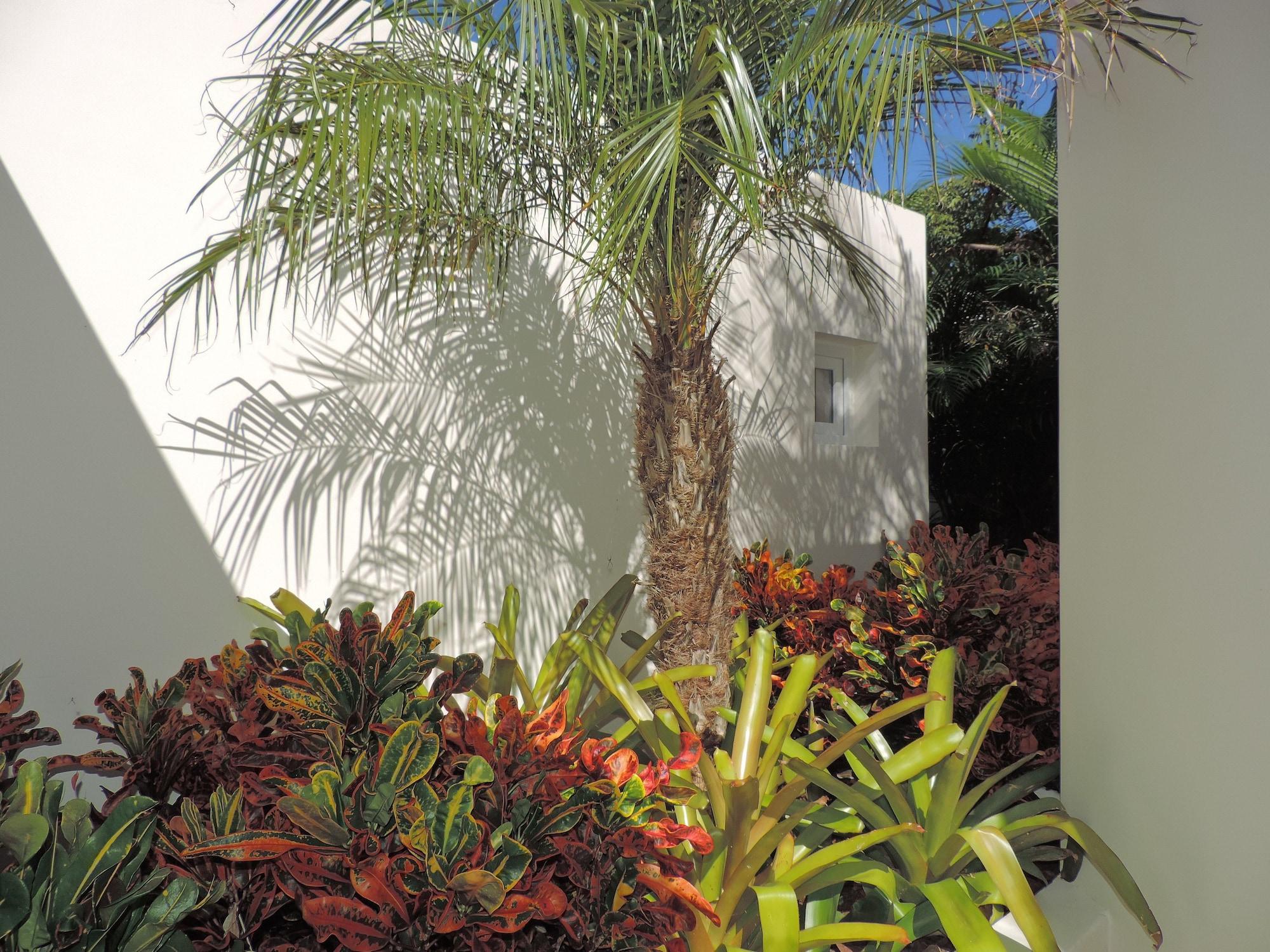 Vista Exterior Hotel Les Ondines Sur La Plage