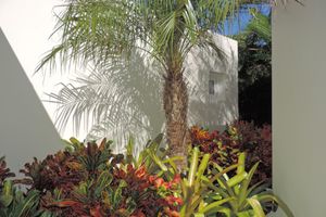 Alojamiento - Hotel Les Ondines Sur La Plage