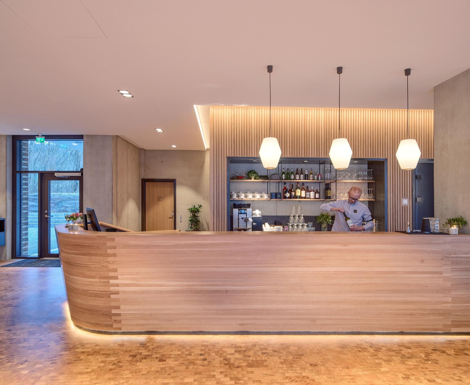 Bar/Salón Ydalir Hotel