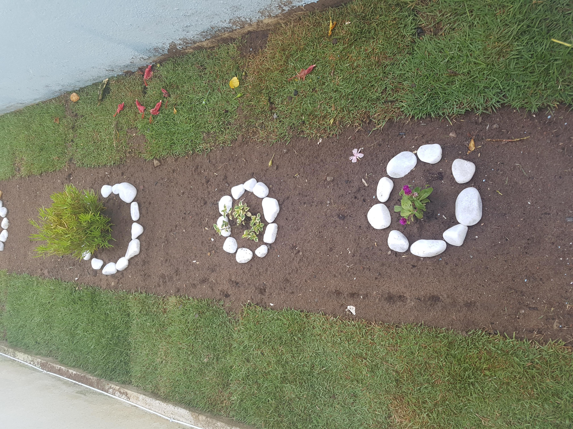 Varios Pousada Estrela do Mar