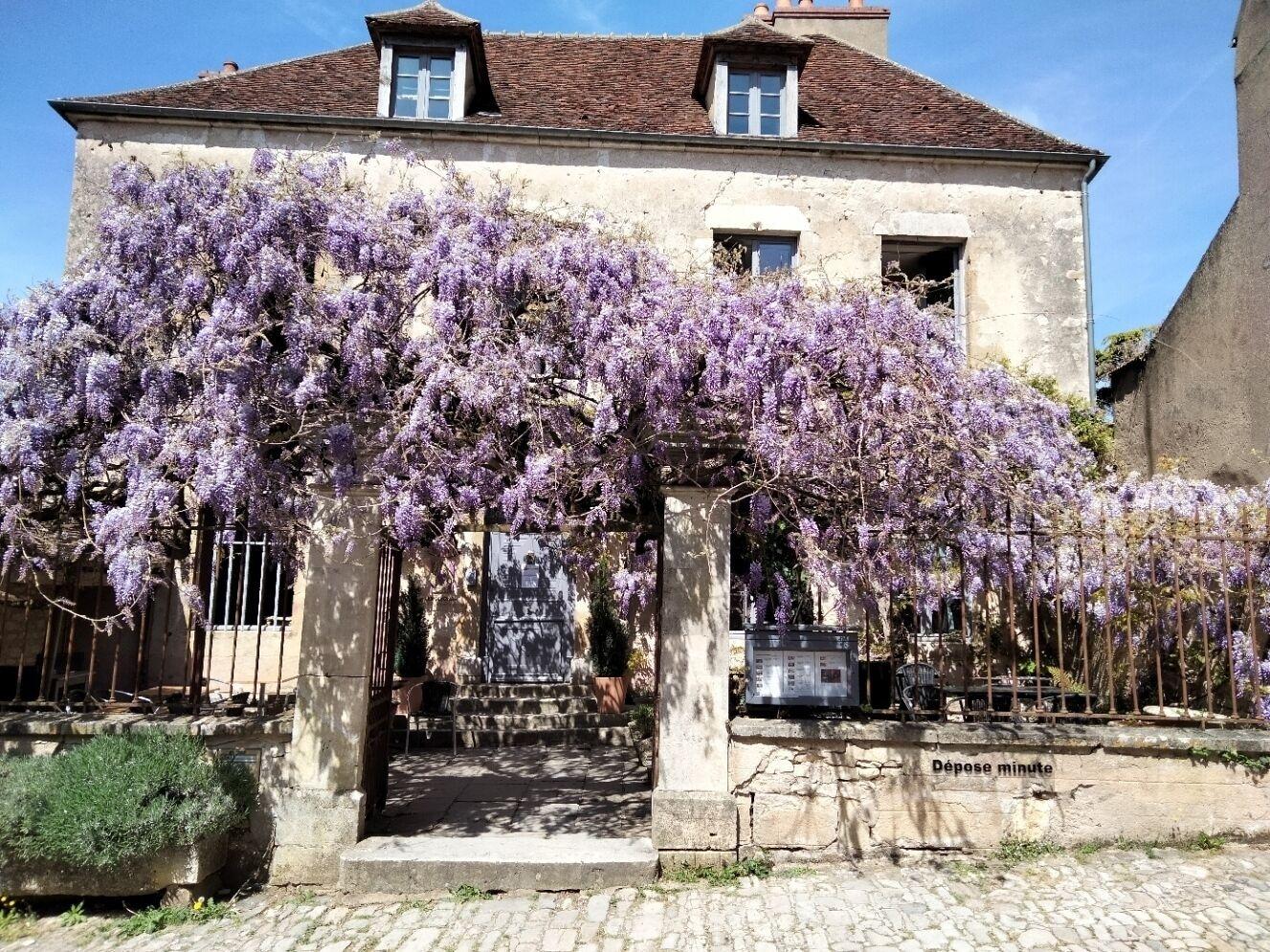 Vista Exterior Hôtel Les Glycines