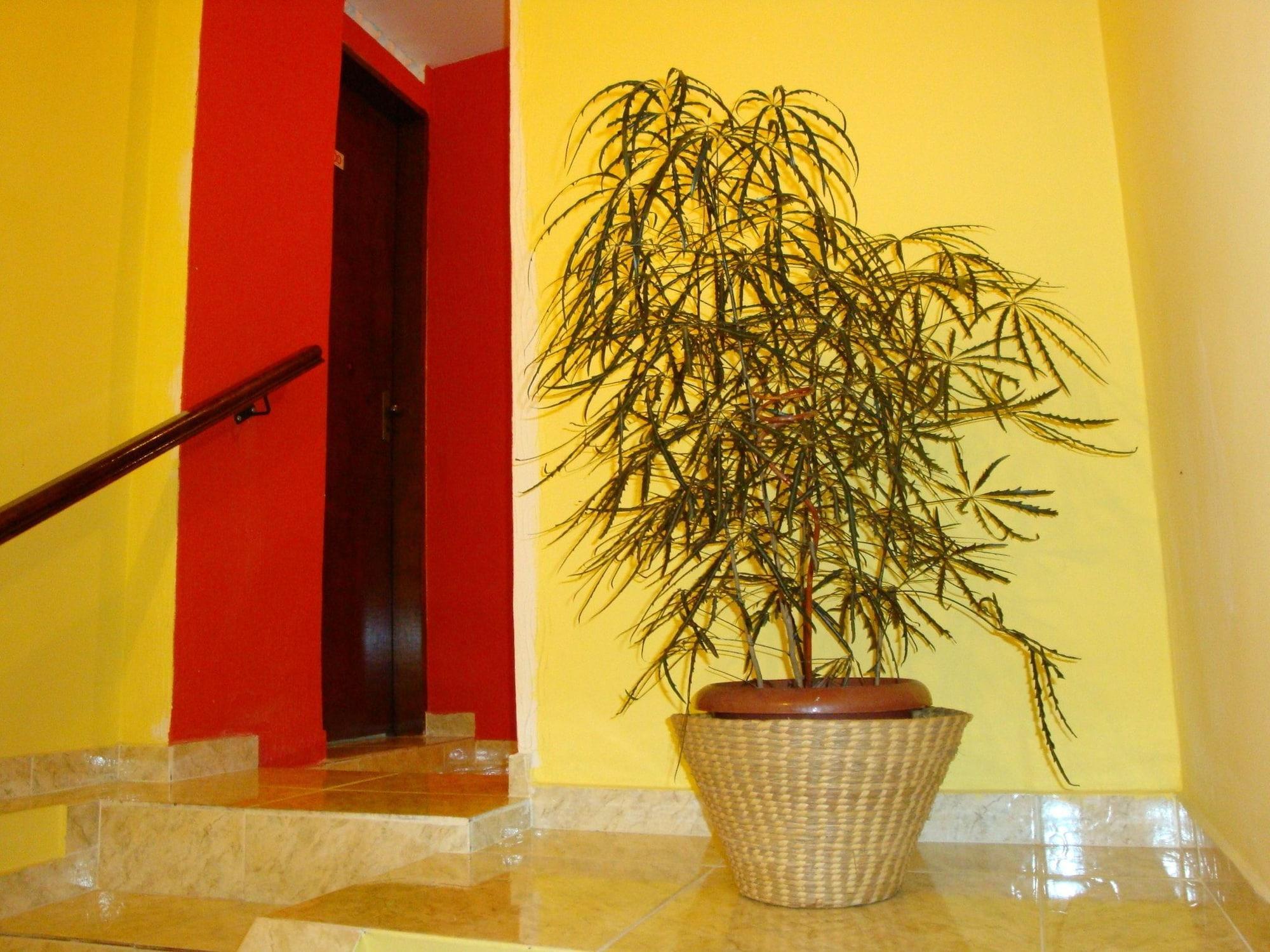 Vista Lobby Hotel Elegance