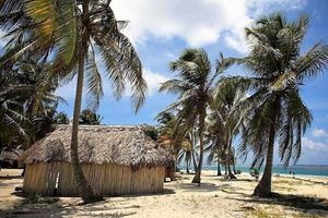 Alojamiento - Cabins in Aguja Island