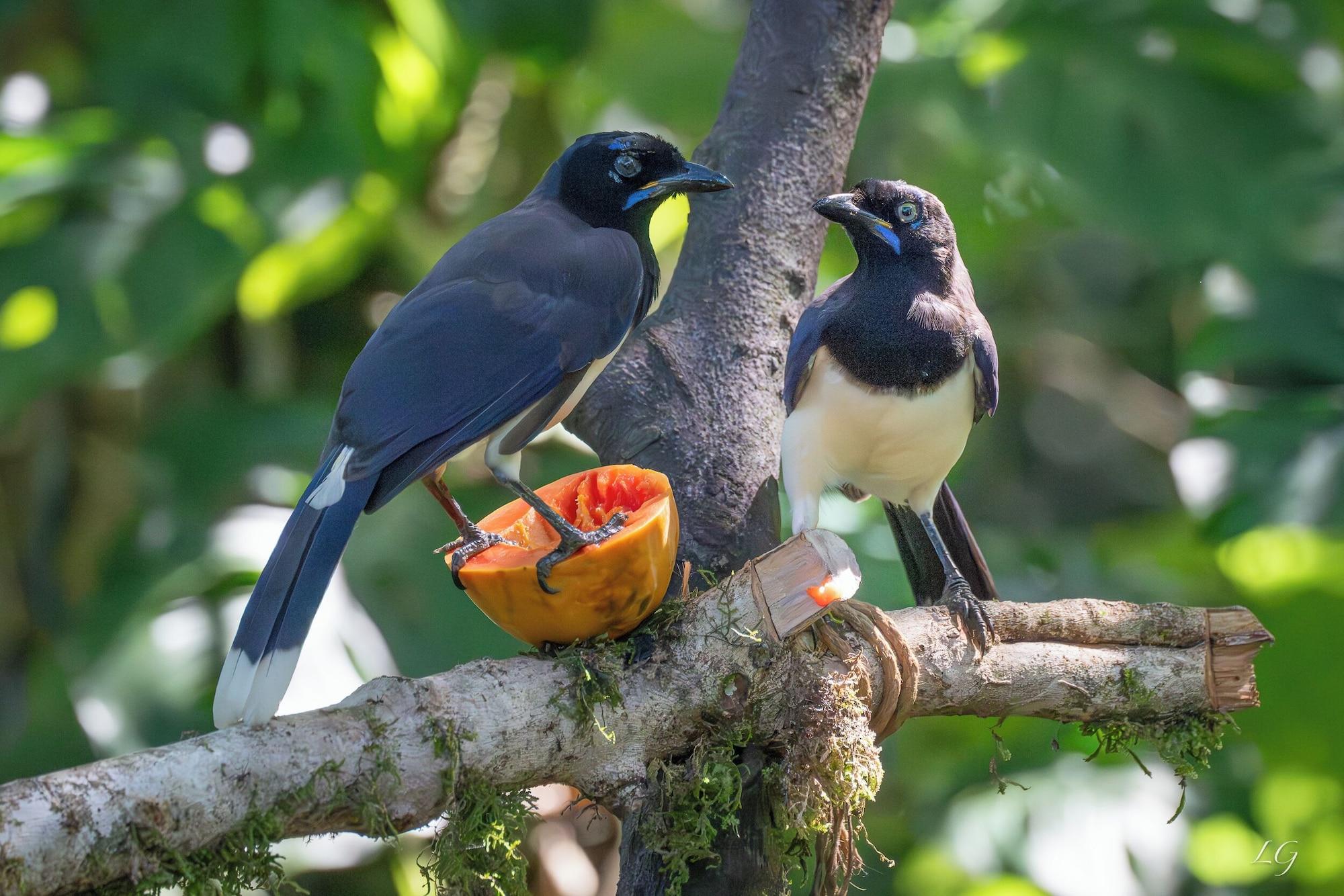 Vista Exterior SelvaMinca
