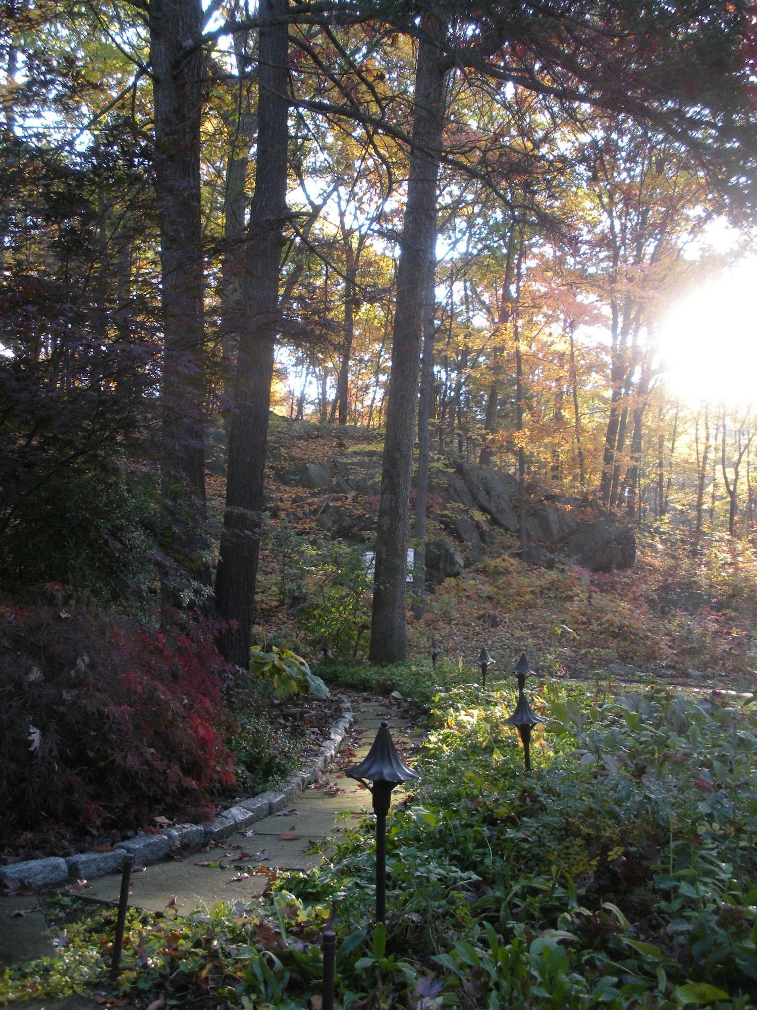 Vista Exterior Inn the Woods Bed and Breakfast