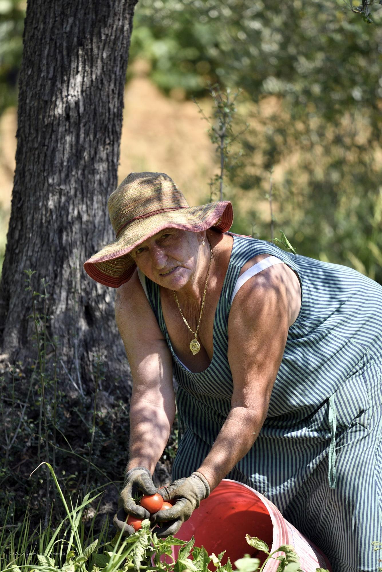 Vista Exterior Agriturismo il Laghetto