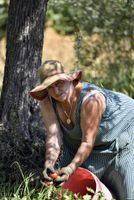 Alojamiento - Agriturismo il Laghetto