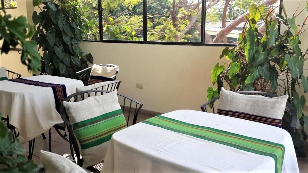 Spa Árbol de Fuego Eco-hotel, a green experience in the city