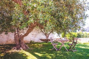 Alojamiento - Trullieu Guesthouse
