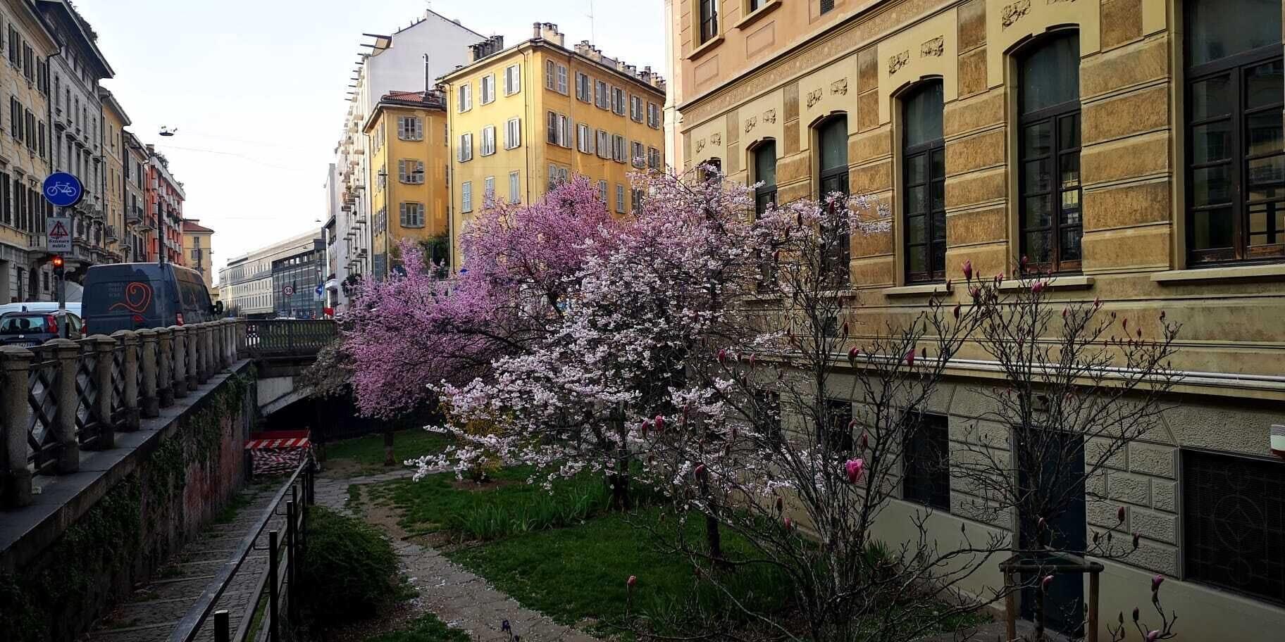 Vista Exterior Style Homes Brera