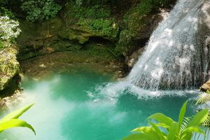 Actividad - Excursión a las cascadas del río Dunn y el Agujero Azul