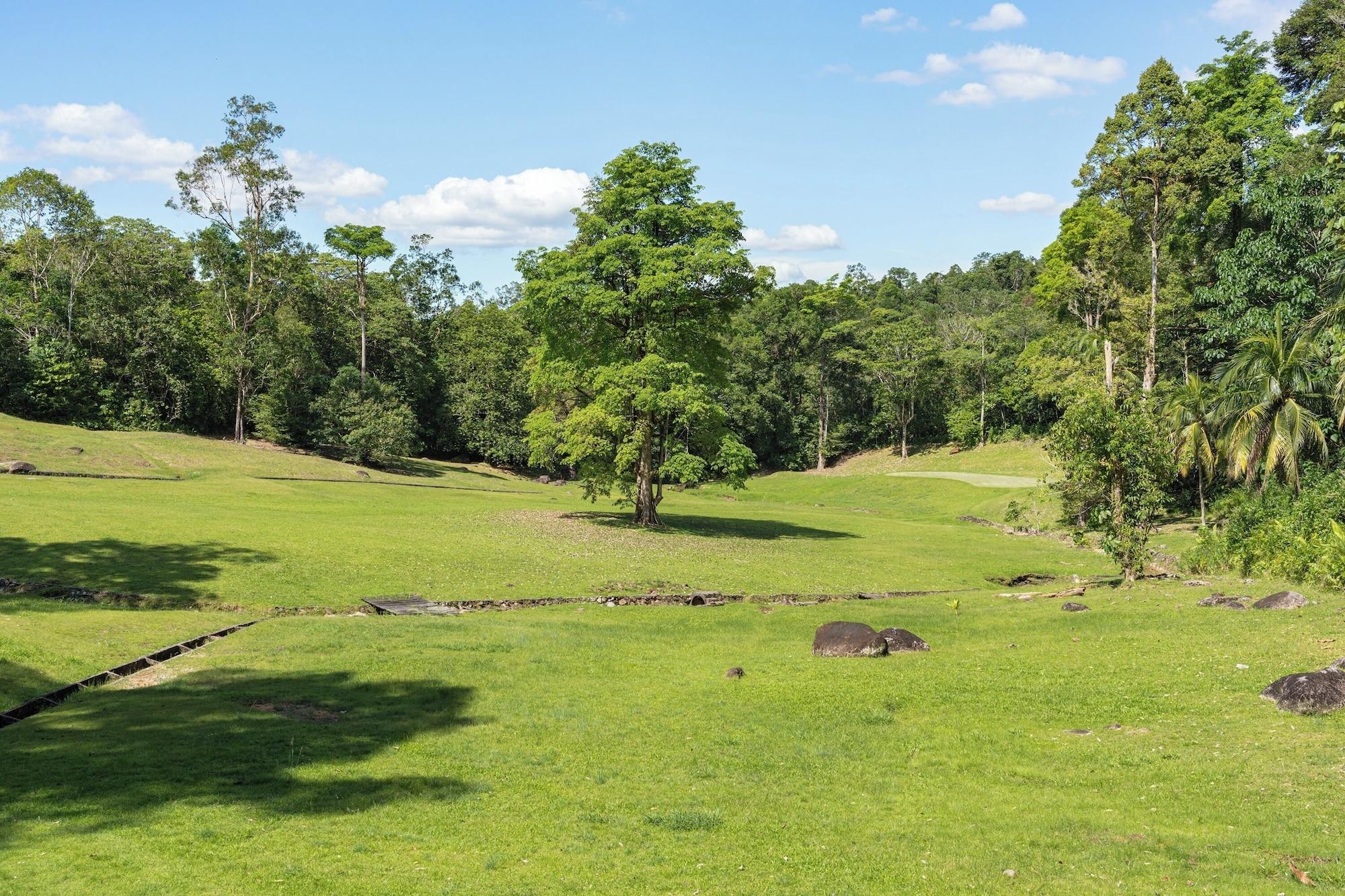 Campo de Golf Cove 55