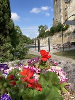 Alojamiento - Auberge de Crissay