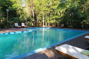 Alojamiento - Selva de Laurel