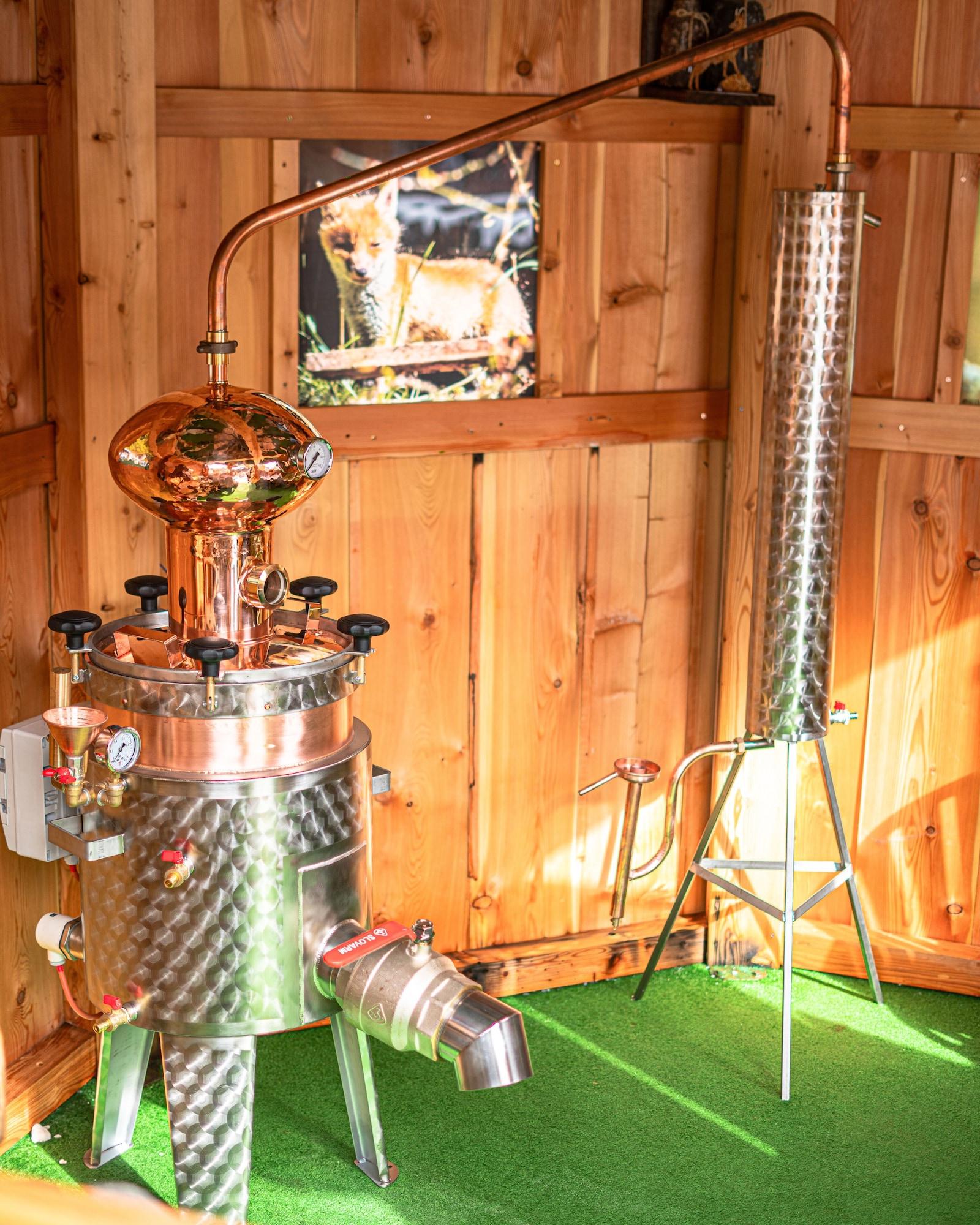 Vista Exterior Hotel „Zum Ritter“