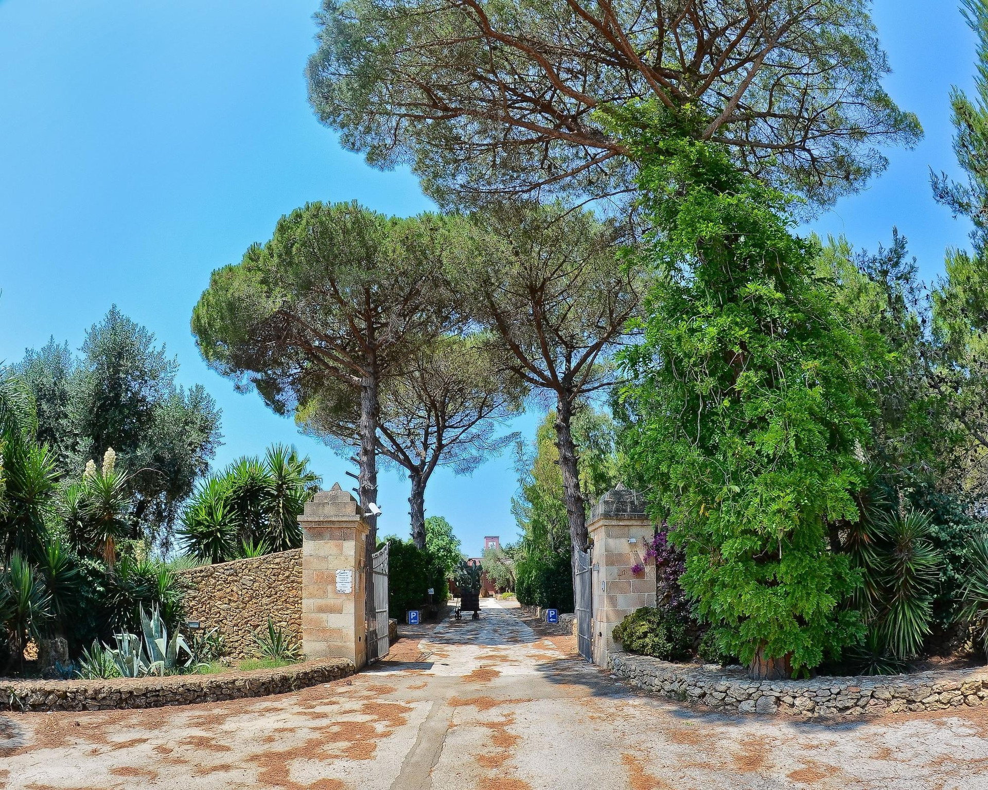 Vista Lobby Masseria Pisciani