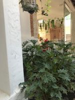 Alojamiento - San Angel Hotel Boutique