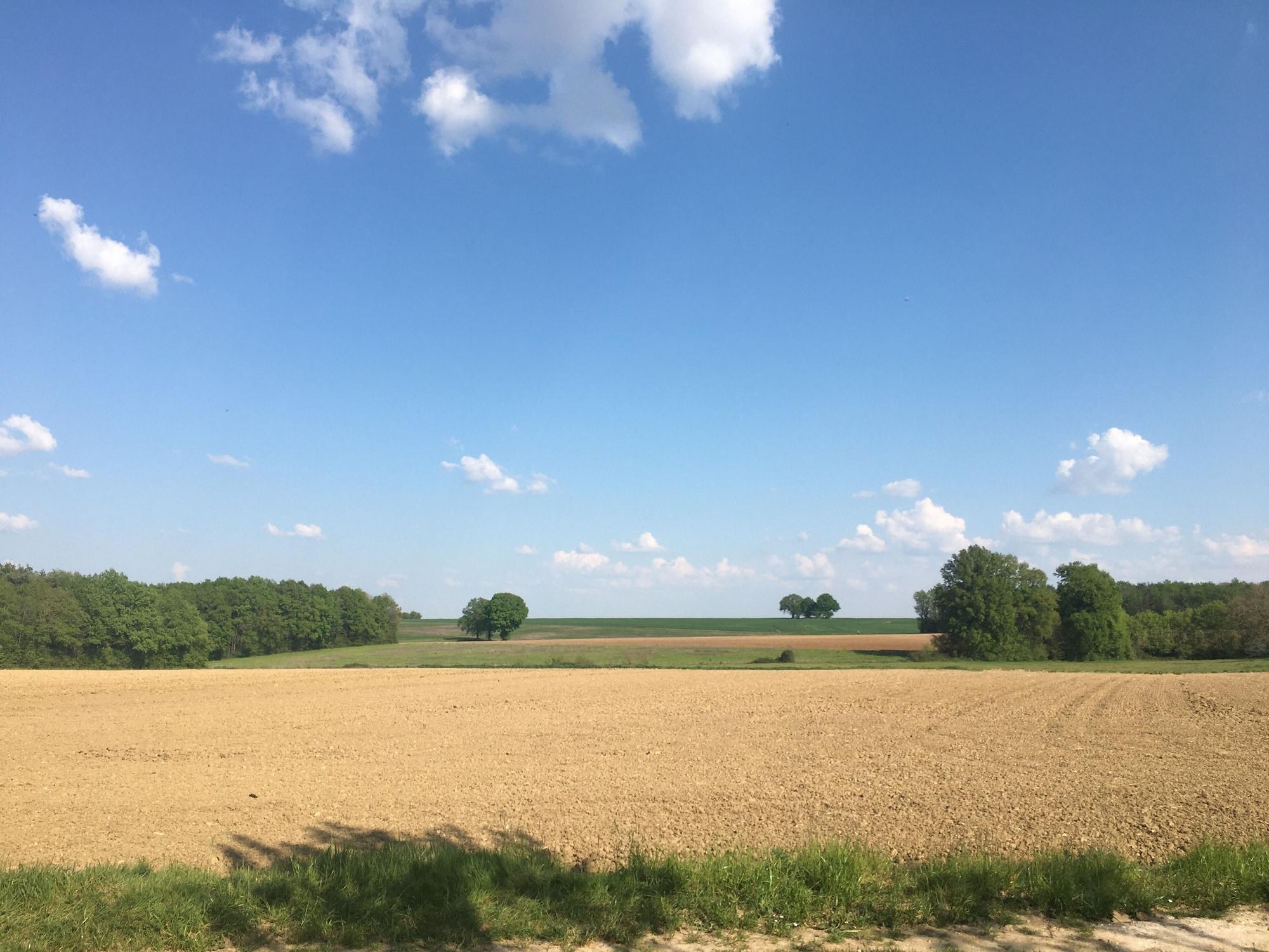 Vista Exterior Tui's Nest Glamping