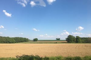 Alojamiento - Tui's Nest Glamping