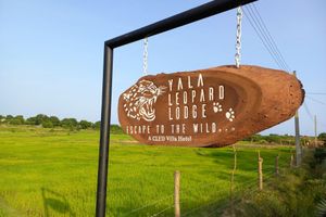 Alojamiento - yala leopard lodge