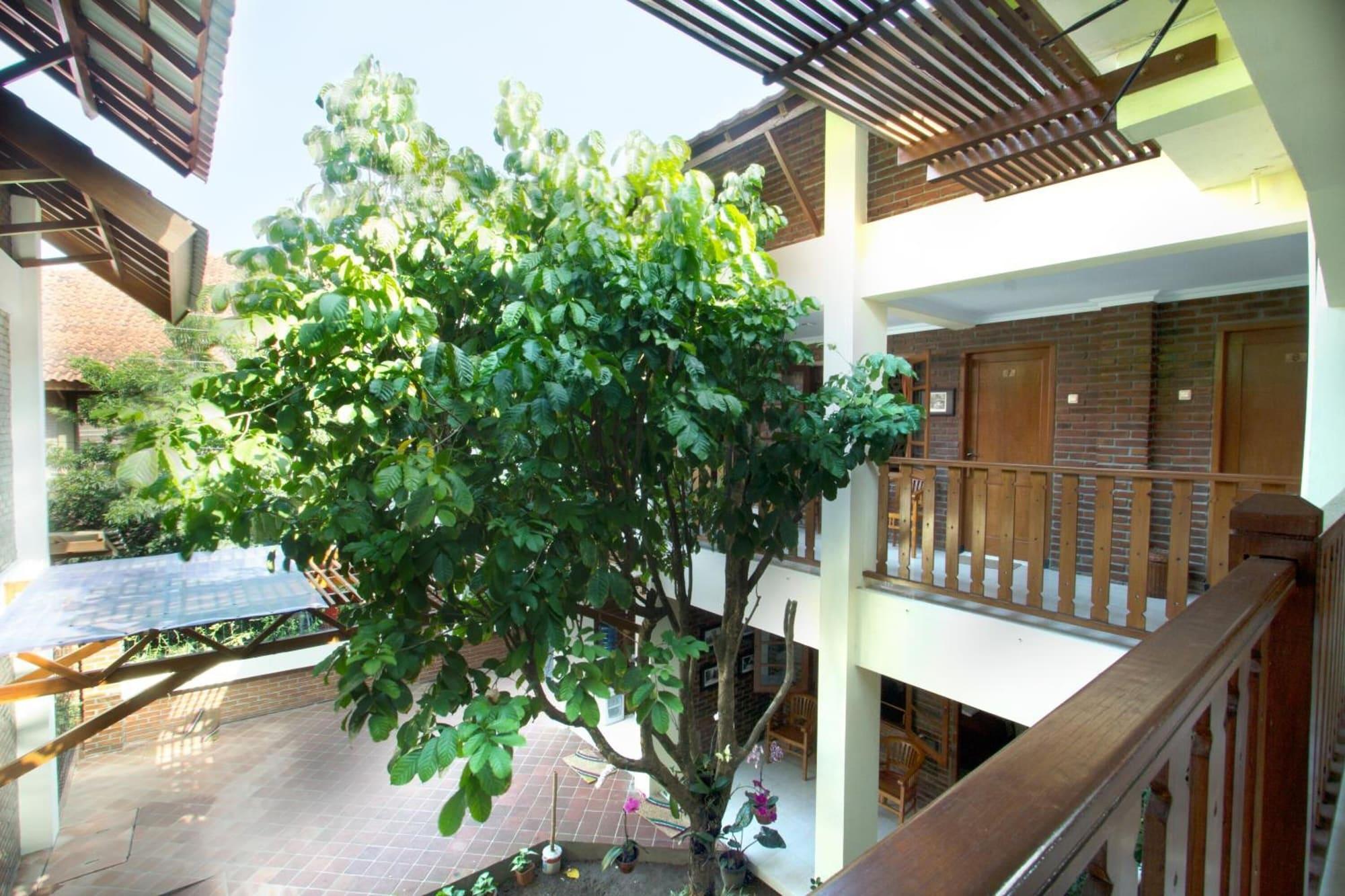 Equipamiento de Habitación De Hostel