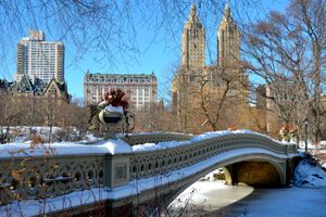 Paquete - Paquetes a Nueva York