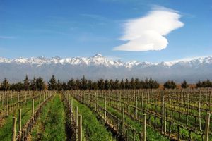 Paquete - Paquetes a Mendoza