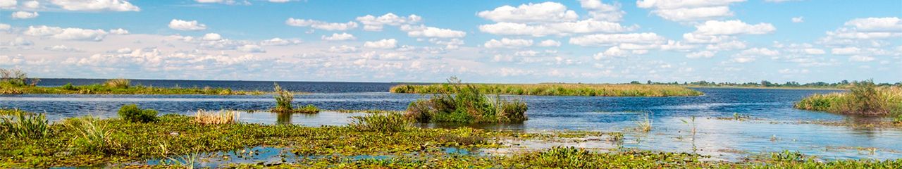 Hoteles en Esteros del Iberá