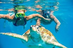 Actividad - Tours Nado con Tortugas en el norte,Desde Punta Sal