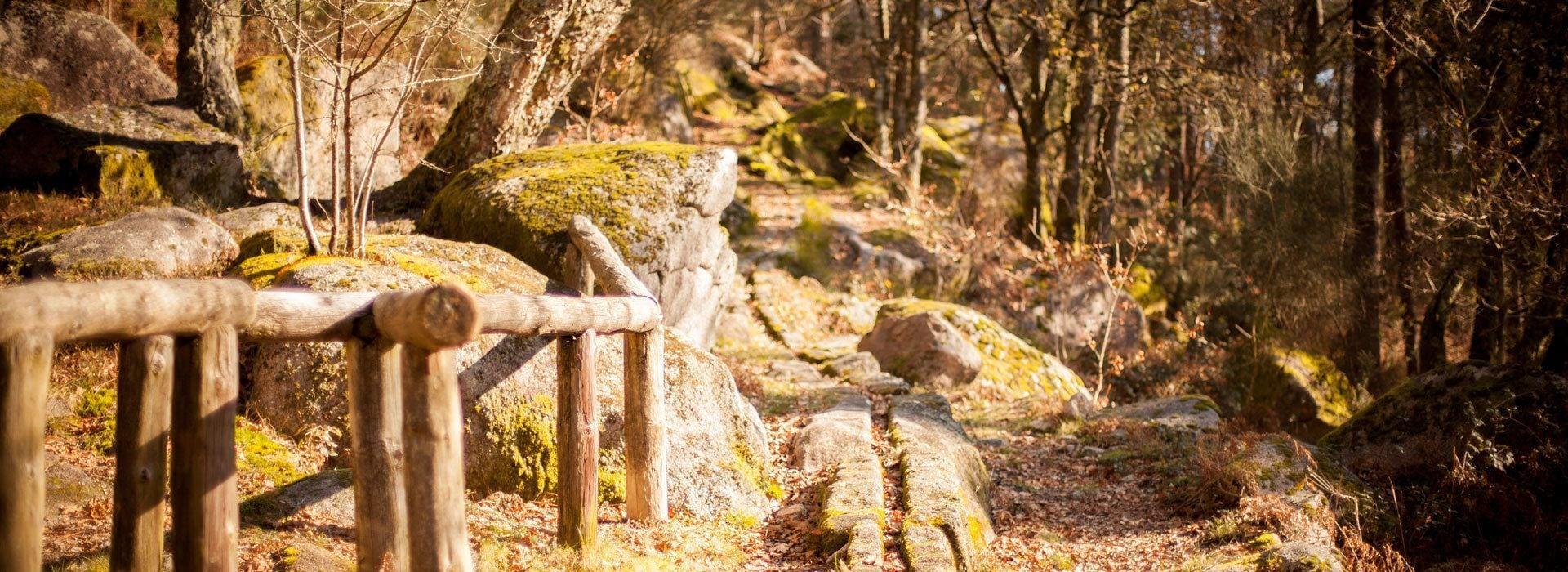 Comodidades del Alojamiento Aloia Nature Alojamiento Forestal