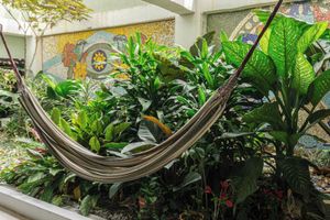 Alojamiento - Selva House