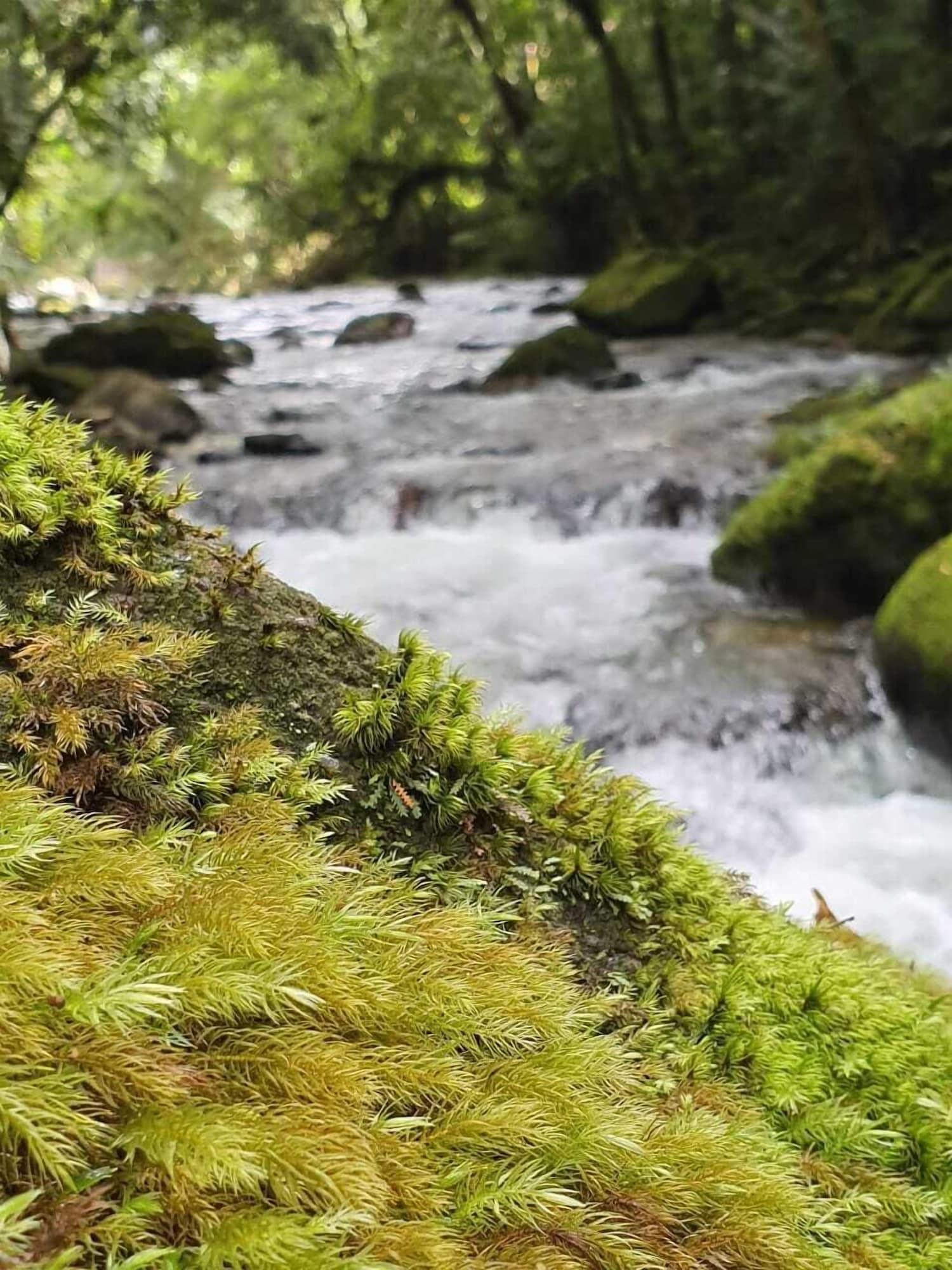 Comodidades del Alojamiento Kanawha Eco Hotel