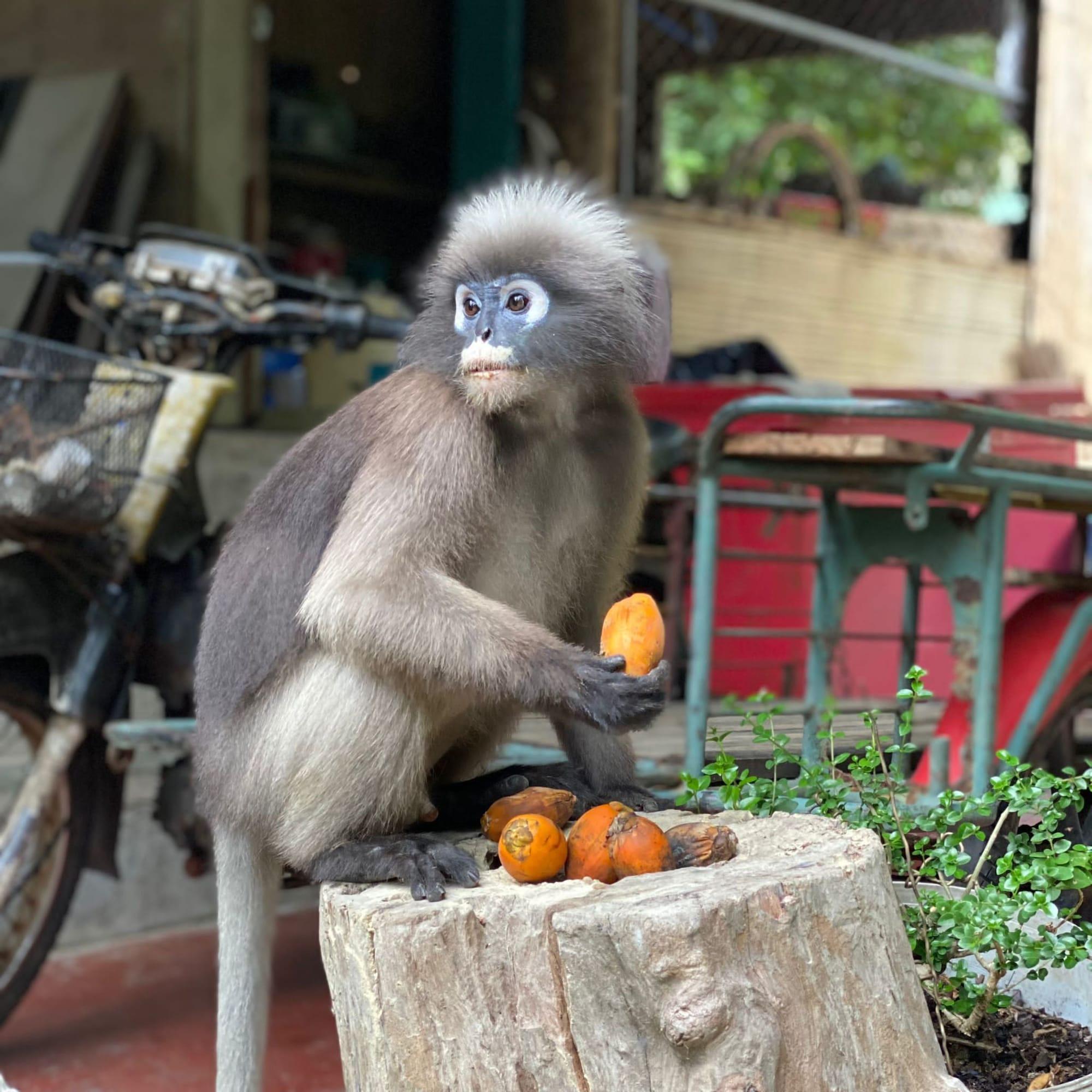 Vista Exterior Chill Out Bar and Bungalows