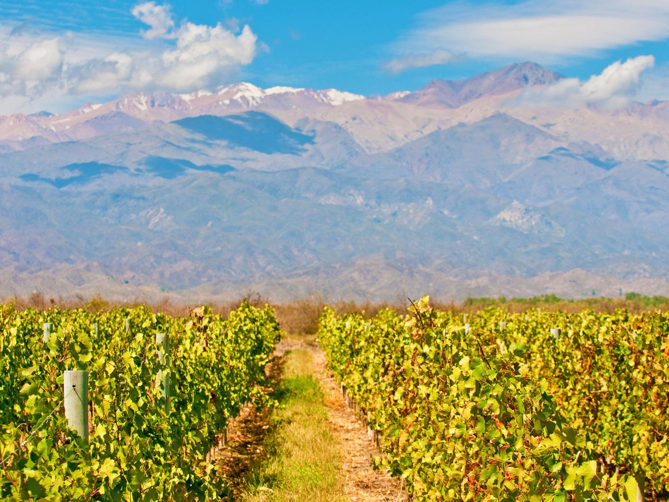 Mendoza