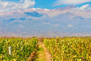 Mendoza