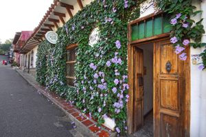 Alojamiento - Casa Ruta Sur
