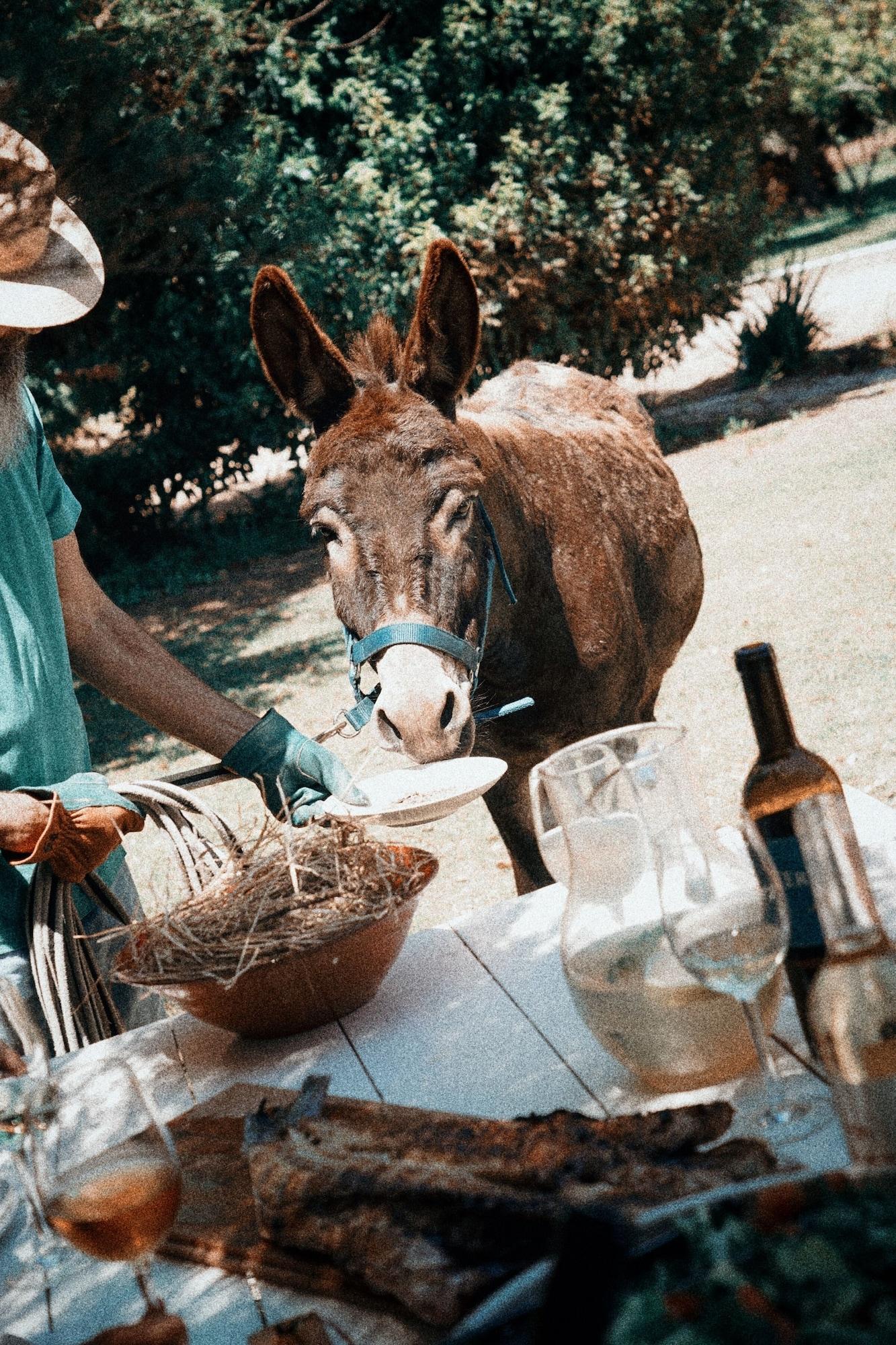 Restaurant Cabra - Porto Covo