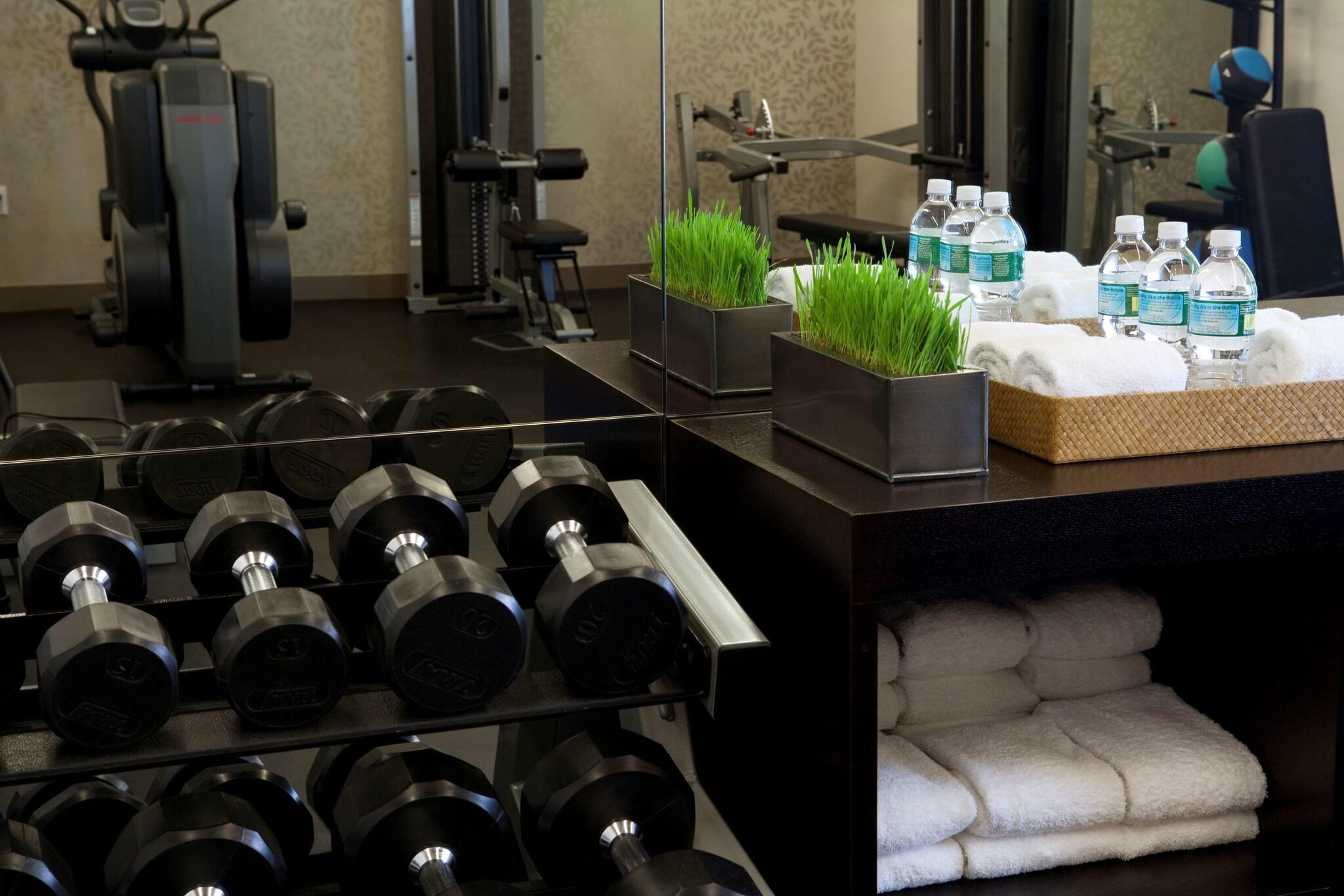Instalaciones Recreativas The Shelburne Sonesta New York