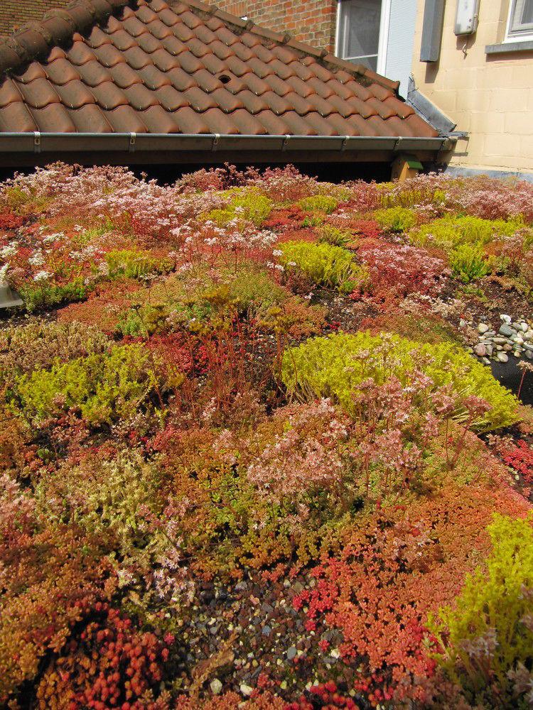 Vista Exterior Hotel Fevery