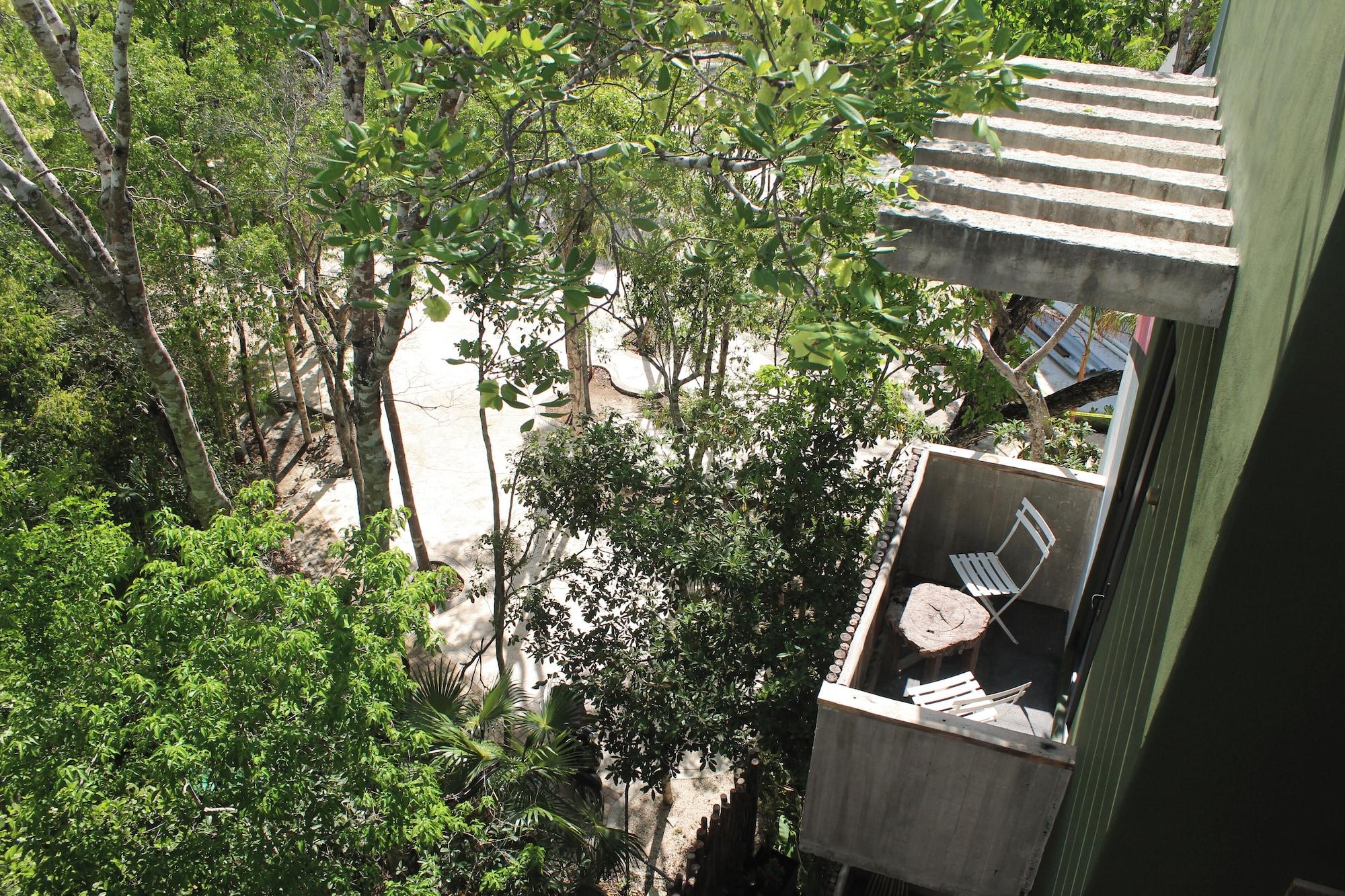 Habitación Loba Tulum Male Only