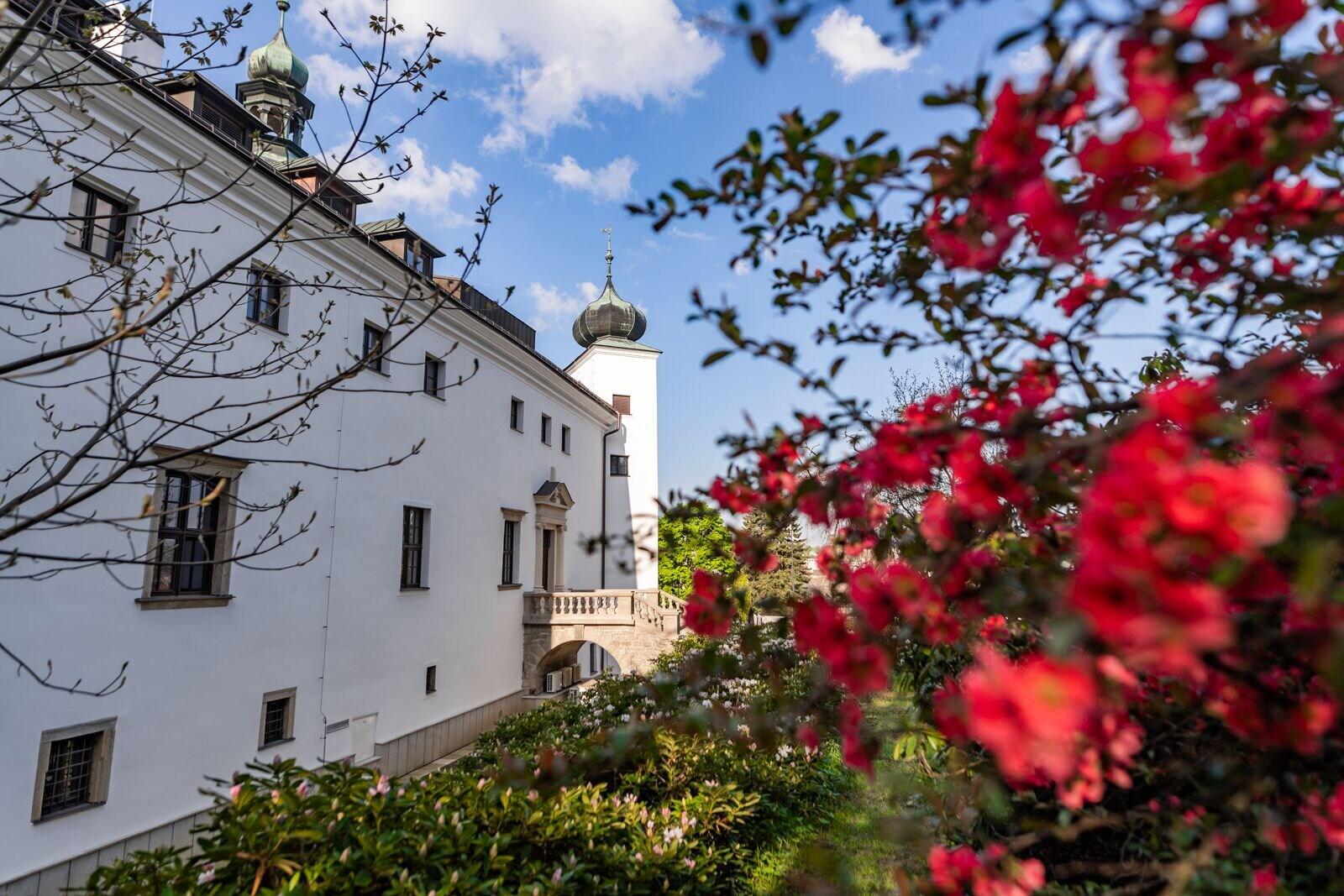 Vista Exterior Chateau Třešť